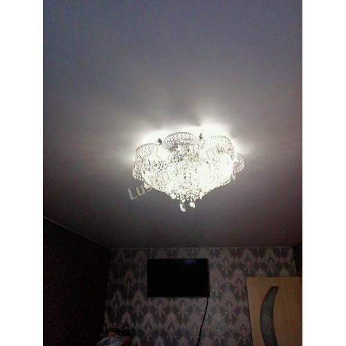 Люстра Камея №1 в Химках Гусь Хрустальный